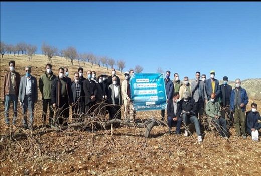 اجرای بیش از 13 هزار ساعت آموزش و ترویج کشاورزی در شیراز