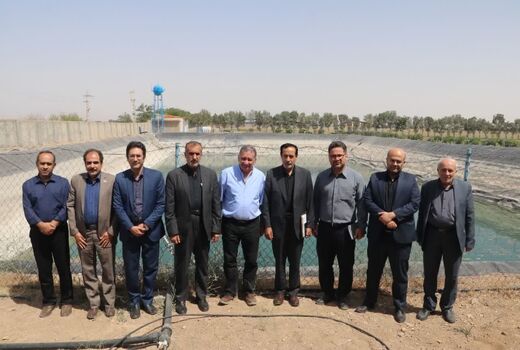 بازدید معاون وزیر جهاد کشاورزی از مزرعه نوآوری کشاورزی هوشمند در آبیک 