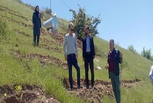 توسعه کشت سماق در شهرستان هوراند شتاب می‌گیرد