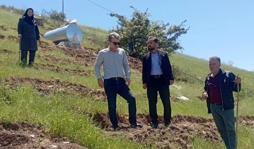 توسعه کشت سماق در شهرستان هوراند شتاب می‌گیرد