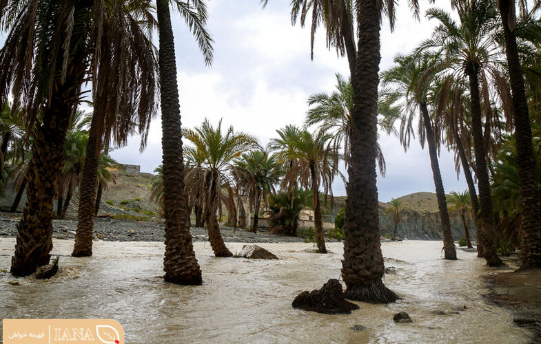 بارش باران و سیراب شدن باغ ها و مزارع در سردشت هرمزگان