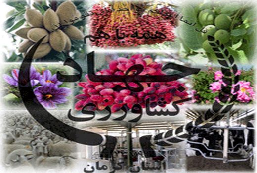 جلسه هماهنگی روزجهانی خاک در استان کرمان برگزار شد