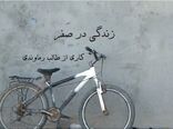 راهیابی مستند آموزشی زندگی در صفر به بخش مسابقه پنجاه و دومین جشنواره بین المللی فیلم های رشد
