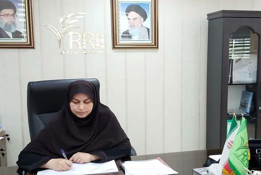 مهمترین دستاوردهای موسسه تحقیقات برنج کشور در سال 99