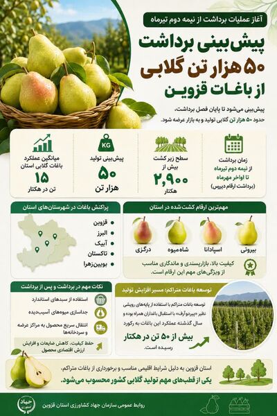  پیش‌بینی برداشت ۵۰ هزار تن گلابی از باغات قزوین