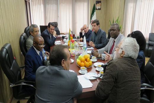 کنگو به دنبال کسب دانش و فناوری پرورش میگوی ایران