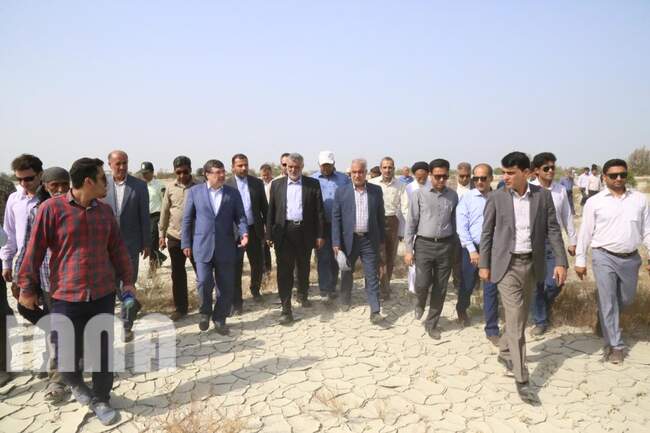 بازدید وزیر جهاد کشاورزی از کانون های آلوده به آفت ملخ صحرایی در شهرستان سیریک استان هرمزگان