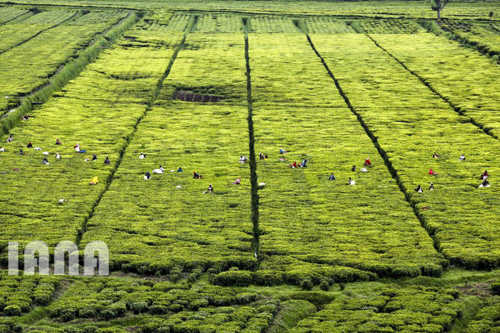 هندسه کشاورزی