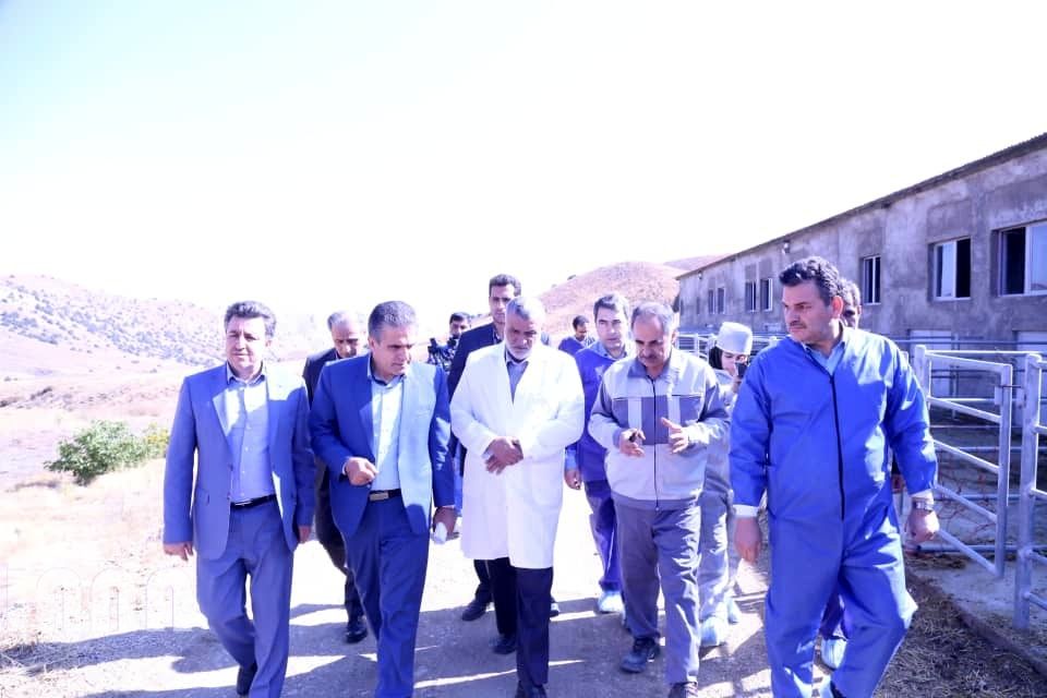 افتتاح مرکز تولید مواد ژنی دام سبک توسط دکتر جهانگیری در فیروزکوه