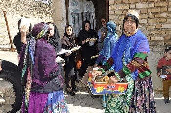  3500  قطعه نیمچه مرغ  بومی در مناطق عشایری فارس توزیع شد