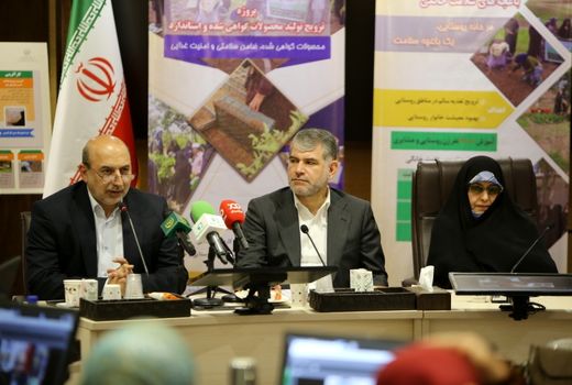 توانمندسازی و مهارت آموزی دختران و زنان روستایی اولویت سازمان تات