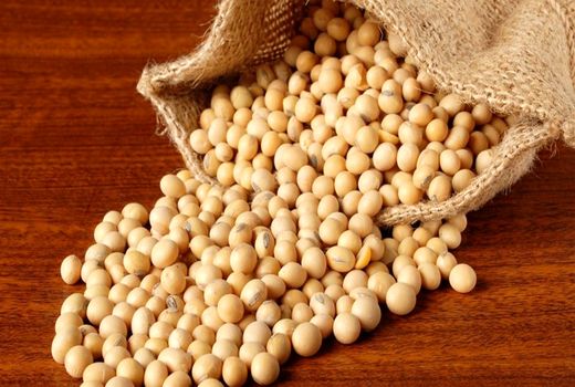 اصفهان نیازمند سویای دیگر استان ها و واردات است