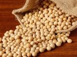 اصفهان نیازمند سویای دیگر استان ها و واردات است