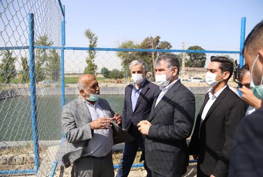 وزیر جهاد کشاورزی از مزارع ۴۲۰ هکتاری اوقاف در شهرستان شهریار بازدید کرد