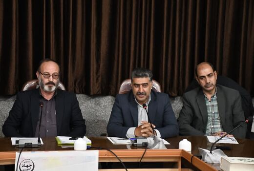 کشت زعفران در بیش از ۴۲۲ هکتار اراضی آذربایجان شرقی