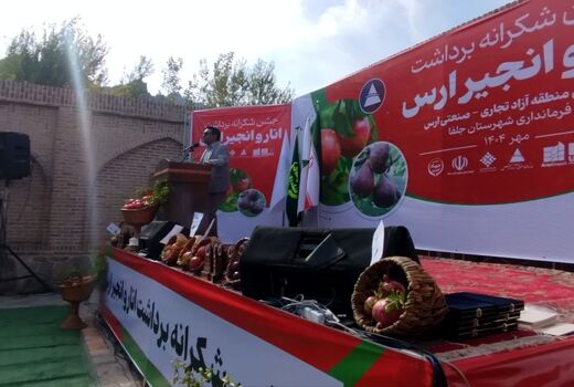 جلفا، رتبه اول تولید انار و انجیر در آذربایجان شرقی  / صادرات انار ارگانیک به کشورهای همسایه