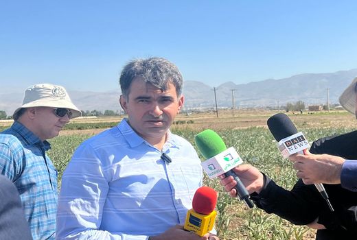 ۶ رقم هیبرید گوجه و فلفل به زودی معرفی می شود