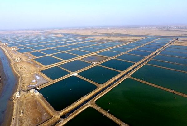 فراهم ساختن زیرساخت‌های لازم جهت سرمایه‌گذاری در حوزه شیلات خوزستان 