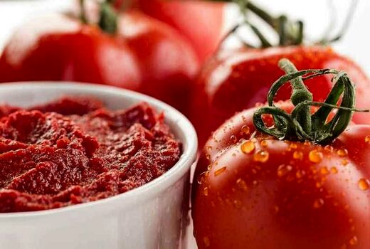  صادرات 1150 تن رب گوجه فرنگی به کشور روسیه