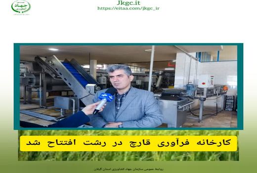 کارخانه فرآوری قارچ رشت افتتاح شد