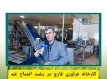 کارخانه فرآوری قارچ رشت افتتاح شد
