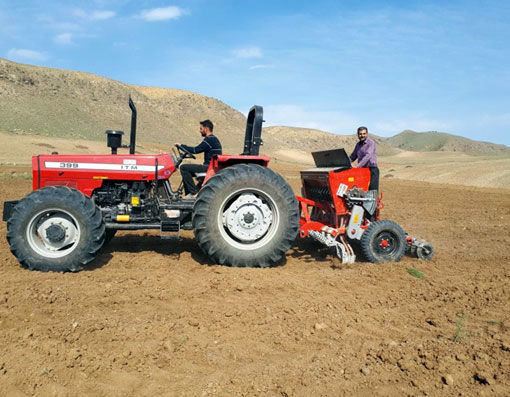 اجرای طرح  کشت ارقام مشارکتی گندم در شهرستان هوراند