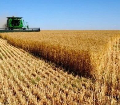 تاب‌آوری نظام غذایی در تلاقی تکانه‌های جهانی و تنگناهای اکولوژیک
