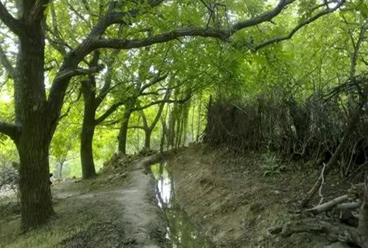میشخاص، خوش مزه‌ترین روستای استان ایلام