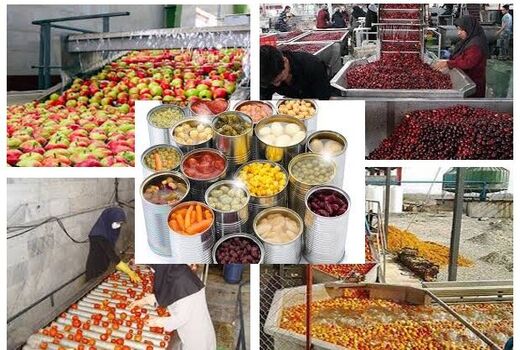صدور 11 فقره موافقت اصولی صنایع تبدیلی و تکمیلی درخراسان شمالی 