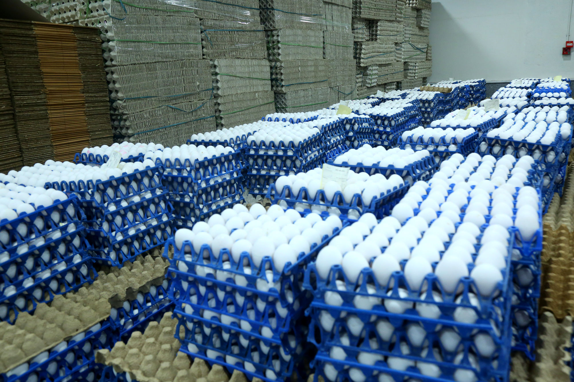 تور رسانه ای به مناسبت هفته دامپزشکی 