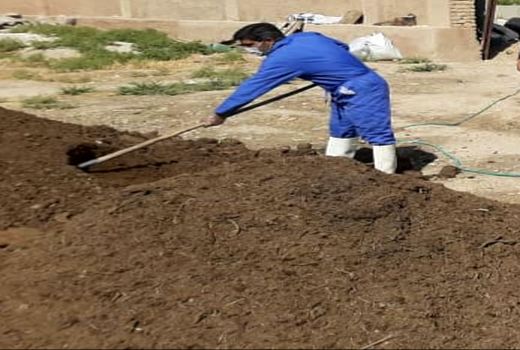 زنان روستایی مرودشت در تولید کمپوست توانمند می‌شوند