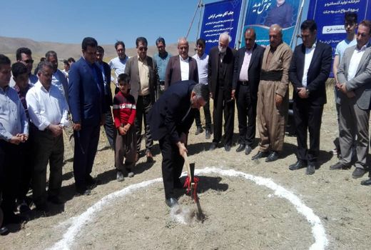 بخش کشاورزی از سر زمین تا سفره مردم اشتغال ایجاد می کند 