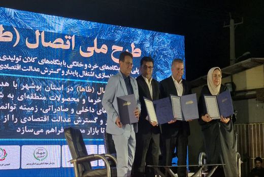 اتصال بنگاه‌های کوچک خرما به زنجیره ارزش صادراتی در بوشهر کلید خورد