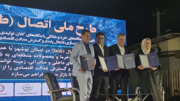 اتصال بنگاه‌های کوچک خرما به زنجیره ارزش صادراتی در بوشهر کلید خورد