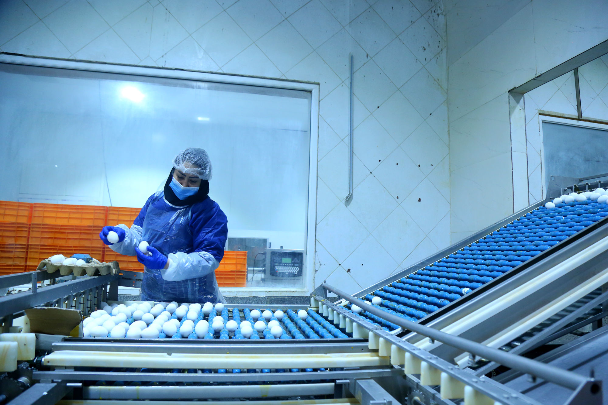 تور رسانه ای به مناسبت هفته دامپزشکی 