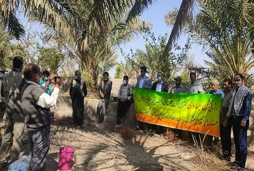  رزمایش کنترل سرخرطومی خرما در خنج برگزار شد 