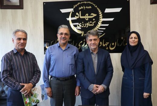 سرپرست 