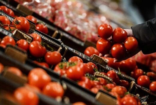 توزیع بدون محدودیت گوجه فرنگی در میادین شهرداری تهران 