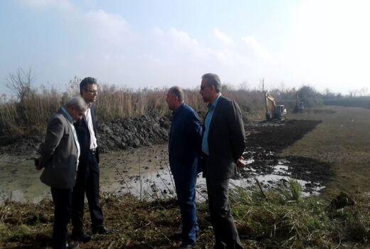 لایروبی ۱۰ هکتار از آب بندان‌های روستای خلیفه محله رودسر آغاز شد