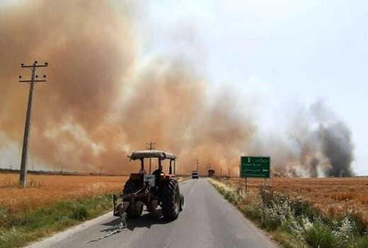 حریق تهدیدی جدی برای مزارع شتوی قیروکارزین