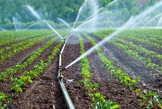 ۸۰۰ هکتار از اراضی کشاورزی بخش صمصامی به سیستم های نوین آبیاری تجهیز می شود