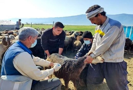 جهادگران حاضر در رزمایش‌های جهاد دامپزشکی امتیاز بازآموزی می‌گیرند
