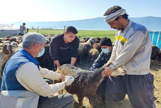 جهادگران حاضر در رزمایش‌های جهاد دامپزشکی امتیاز بازآموزی می‌گیرند