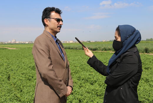  تولید  علوفه در کشور سالانه 5 درصد افزایش می‌یابد