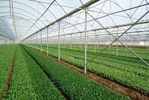 نظارت بر بیش از 655 هزار هکتار اراضی واگذاری خوزستان