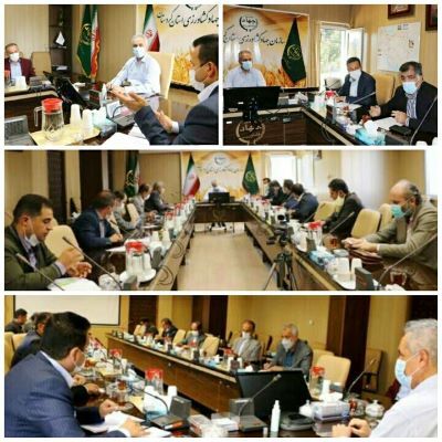 کشاورزانی که از بذر گواهی شده استفاده کنند به ازای هر هکتار دو کیسه بیشتر سهمیه کود ازت دریافت می کنند