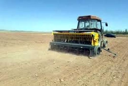 آغاز کشت محصولات پاییزه استان تهران با کشت کلزا در مزارع شهرستان فیروزکوه