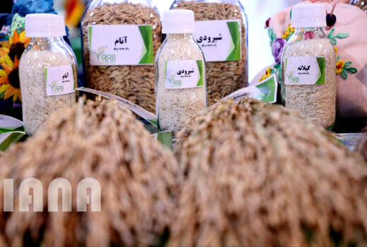 گزارش تصویری بازدید از بیست و سومین نمایشگاه دستاوردهای پژوهش، فناوری و فن بازار