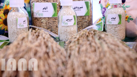 گزارش تصویری بازدید از بیست و سومین نمایشگاه دستاوردهای پژوهش، فناوری و فن بازار