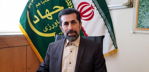 137 هزار هکتار از اراضی باغی و زراعی آذربایجان غربی در سال زراعی 98_99 تحت پوشش بیمه صندوق کشاورزی قرار گرفتند